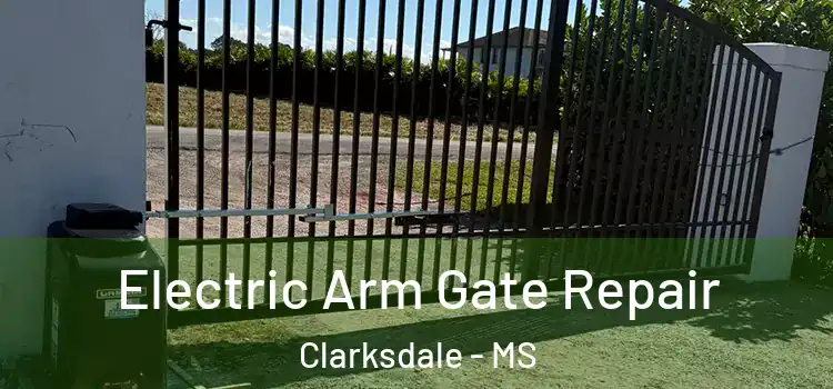  Electric Arm Gate Repair Clarksdale - MS
