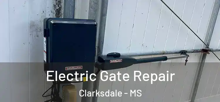  Electric Gate Repair Clarksdale - MS