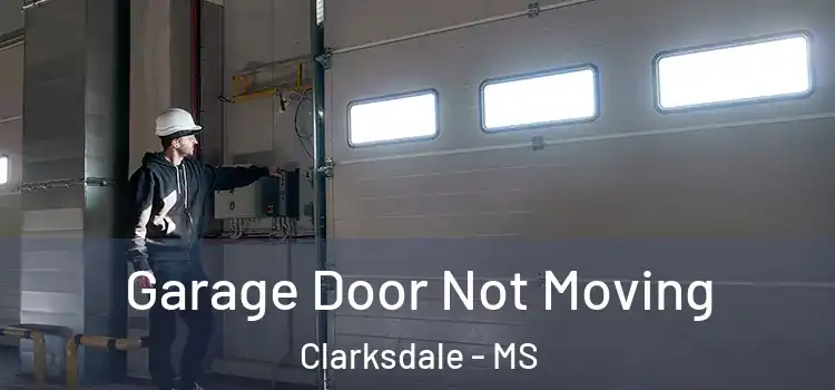  Garage Door Not Moving Clarksdale - MS