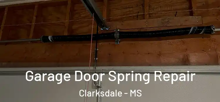  Garage Door Spring Repair Clarksdale - MS