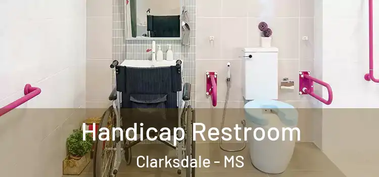 Handicap Restroom Clarksdale - MS