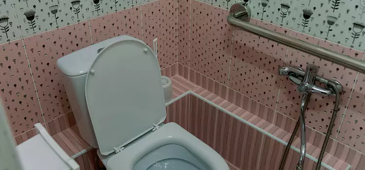 Meeting Diverse Needs With Accessible Restroom Solutions in Clarksdale, MS