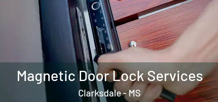 Magnetic Door Lock Services Clarksdale - MS