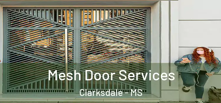 Mesh Door Services Clarksdale - MS